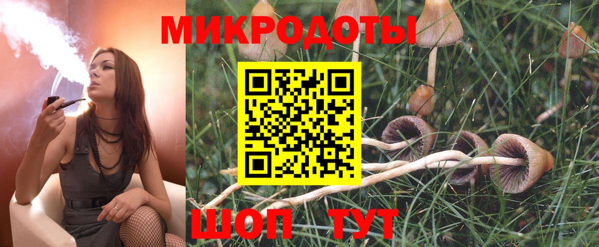 Псилоцибиновые грибы Magic Shrooms  Вход с VPN  Будённовск  Галлюциногенные грибы Psilocybe 