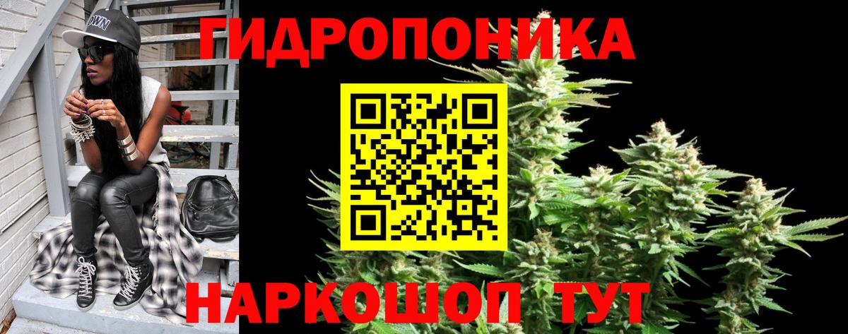Бошки Шишки ГИДРОПОН Будённовск