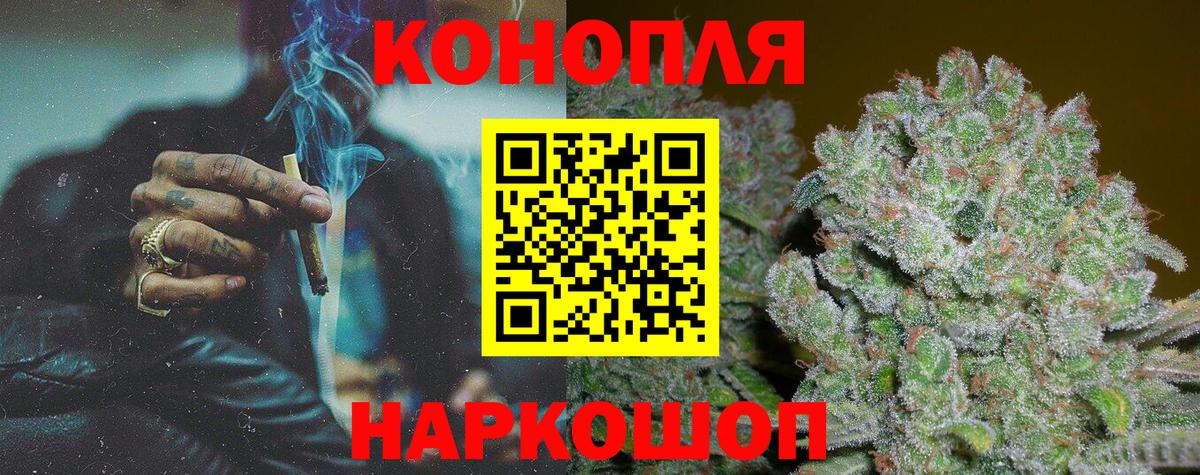 Бошки марихуана планчик  Марихуана сатива  Каннабис THC 21%  Конопля сатива  Вход с VPN  Будённовск 